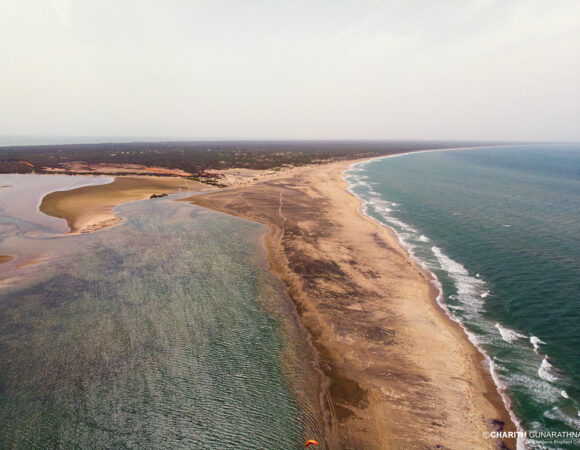 Sri Lanka’s Birding Paradise: A Wildlife Enthusiast’s Guide to Spotting Rare Species