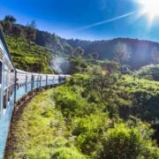 Sri Lanka is a haven for nature lovers, full of unique wildlife and lush ecosystems. Known for its many plants and animals found only here, the island offers a one-of-a-kind experience. With Nature Voyage, you can explore Sri Lanka’s wild beauty and discover its rare species, making it the perfect adventure for birding and wildlife enthusiasts. A Glimpse into Sri Lanka’s Endemic Riches Sri Lanka is home to over 430 bird species, 34 of which are endemic. The island’s lush rainforests, misty mountains, and wetland sanctuaries provide the perfect habitat for these rare species. From the Sri Lanka junglefowl, the national bird, to the vibrant Sri Lanka blue magpie, each encounter is a photographer’s dream. Sri Lanka is home to over 100 species of reptiles, including the colorful green pit viper and the mysterious star tortoise. Mammals like the purple-faced langur and the Sri Lankan leopard also play a big part in the island's rich wildlife. The Best Places to Spot Sri Lanka’s Endemic Species Nature Voyage ensures that your adventure takes you to the most promising locations to encounter endemic species. Here are some must-visit spots: Sinharaja Forest Reserve A UNESCO World Heritage Site, this ancient rainforest is a treasure trove of biodiversity. Keep an eye out for mixed-species bird flocks and the elusive, purple-faced langur. Horton Plains National Park Renowned for its panoramic landscapes and cool climate, this park is ideal for spotting highland species like the Sri Lanka whistling thrush and Horton Plains slender loris. Knuckles Mountain Range This less-explored gem offers a blend of hiking and wildlife spotting, with chances to see endemic reptiles and vibrant butterflies. Udawalawe National Park While famous for its elephants, this park also houses endemic birds such as the Sri Lanka spurfowl and black-capped bulbul. With Nature Voyage as your guide, your journey into Sri Lanka’s endemic wonders becomes seamless and enriching. Their expert naturalists ensure you witness these rare species while gaining deep insights into their behavior and habitats. Tailored itineraries cater to enthusiasts of birding and wildlife, making every moment memorable. Don’t forget to bring essential gear like binoculars, a good camera, and comfortable clothing. Also, it’s a must to know that wildlife spotting often requires quiet observation and time. Following eco-friendly practices to preserve these pristine habitats is your liability. Sri Lanka’s unique wildlife showcases the island’s rich natural heritage. With Nature Voyage, you’ll experience its wild wonders up close, whether you’re a wildlife expert or a curious traveler looking for an unforgettable adventure.